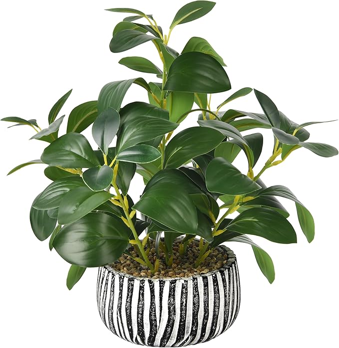 florisso Artificial Succulents with Fig Leaf Greenery in Rustic Clay Planter, Fake Succulents Potted Decor for Farmhouse, Bathroom, Bedroom, Kitchen, Office Desk and Coffee Table (Black White)