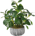 florisso Artificial Succulents with Fig Leaf Greenery in Rustic Clay Planter, Fake Succulents Potted Decor for Farmhouse, Bathroom, Bedroom, Kitchen, Office Desk and Coffee Table (Black White)