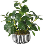 florisso Artificial Succulents with Fig Leaf Greenery in Rustic Clay Planter, Fake Succulents Potted Decor for Farmhouse, Bathroom, Bedroom, Kitchen, Office Desk and Coffee Table (Black White)