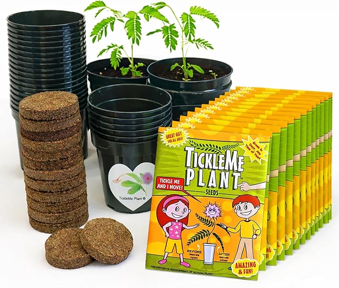 TickleMe Plant Classroom or Homeschool Science Fun Planting Party Kit – for 30 Students – Grow a Sensitive Plant that Reacts to Touch – Includes Activity Book and Seeds for Kids to Plant