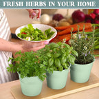 LemonRoad 6 Pcs Indoor Herb Planter Window Herb Pots for Kitchen with Drainage Hole and Bamboo Tray Farmhouse Metal Garden Planter Pot with DIY Label Mom Plant Gift(Sage Green,Round)