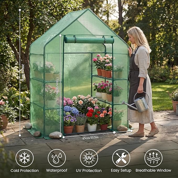 Greenhouse for Outdoors,55 x 28 x 78'' Small Greenhouse,Walk in Plant Greenhouses with 3 Tiers 6 Shelves,Heavy Duty with Durable PE Cover,Heavy Duty Plant Greenhouses for Garden and Backyard