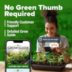 HOME GROWN Jalapeno Pepper Seeds 129+ Heirloom Non-GMO Seeds for Planting, High Germination, Mild to Medium Heat Hot Peppers, Prolific Garden Crop, Perfect for Salsa & Pickling (Capsicum annuum)