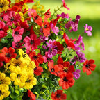 40 Pcs Artificial Flowers for Outdoors Fake Flowers UV Resistant, Artificial Plants Outdoor Indoor Faux Plastic Fake Plants for Planter Front Door Garden Porch Yard Home Decor(Pink Red Purple Yellow)