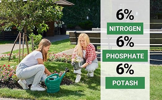Gardenwise 6-6-6 All-Purpose Professional Plant Food Fertilizer; Ideal for Winter Care & Spring Feeding, Perfect Balanced NPK for Indoor and Outdoor Plants (2 QUARTS)