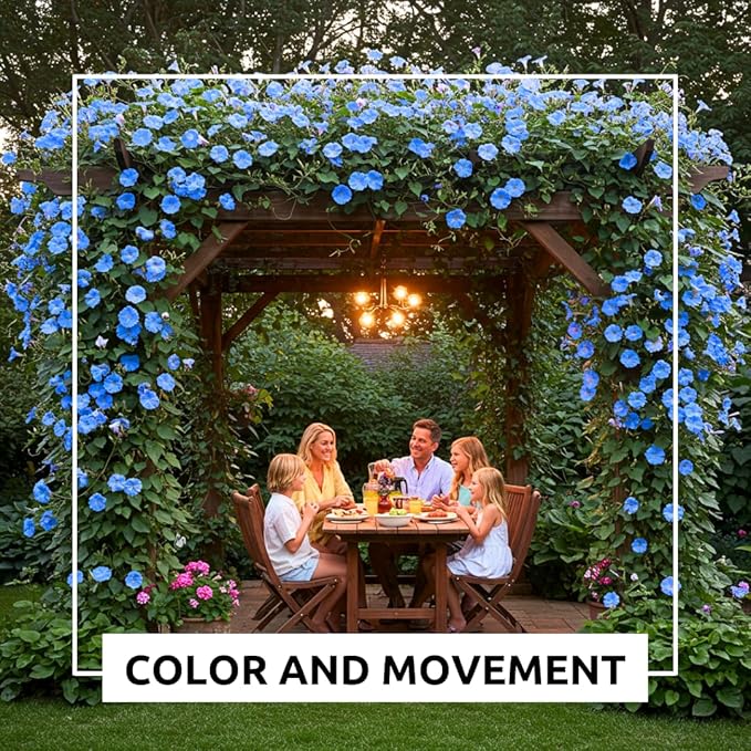 Blue Morning Glory Climbing Vine | 100 Seeds to Plant | Beautiful Flowering Vine