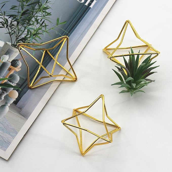Air Plant Hangers with Chains, 6 Pcs Gold Tillandsia Holders for Wall/Ceiling Decor, 3 Hangers + 3 Stands Set, Boho Indoor Home Office Display, Modern Air Fern Plant Décor