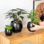 vancasso 3-Pack Ceramic Plant Pots, 3.7/4.8/6.2 Inch Indoor Planters with Saucers & Drainage Hole Planter pots for Indoor Plants and Flower, Black