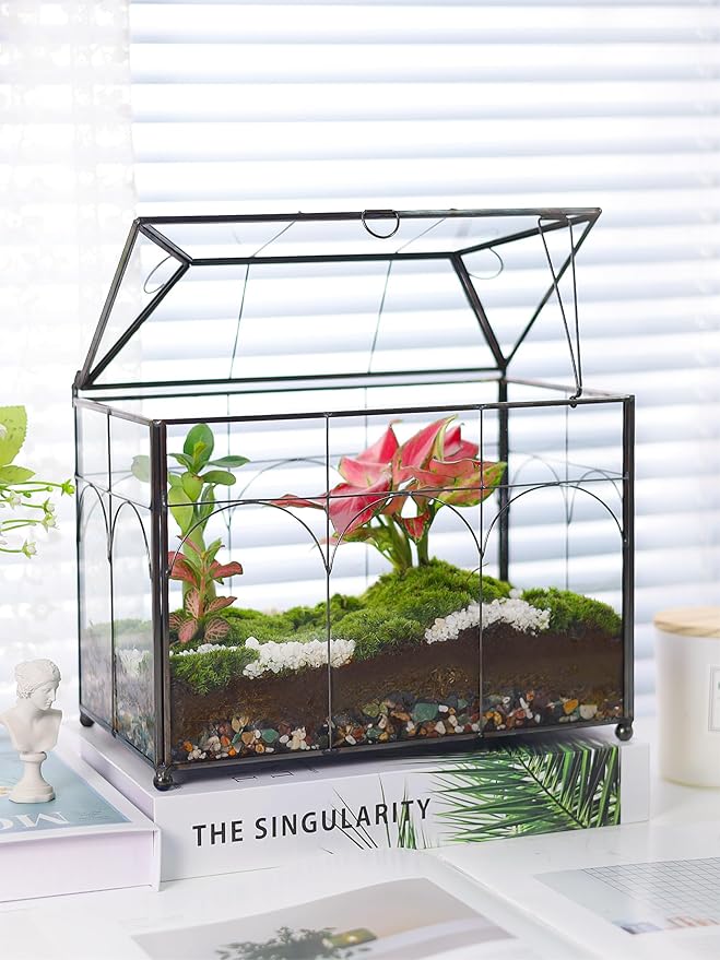 REDHUGO Handmade Glass Planter Terrarium with Lid, Indoor Tabletop Centerpiece Display Box Modern Decor DIY Gift Plant Terrarium Container for Succulent Cacti Air Plants Flower (Black)