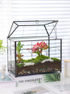 REDHUGO Handmade Glass Planter Terrarium with Lid, Indoor Tabletop Centerpiece Display Box Modern Decor DIY Gift Plant Terrarium Container for Succulent Cacti Air Plants Flower (Black)