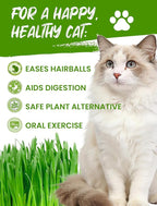 Cat Grass Kit for Indoor Cats, 3 Pack Fast Growing Cat Grass Kit with Eco-Friendly Biodegradable Pots, Soil & Wheatgrass Seeds, Grows in 3-7 Days with High Germination Rate