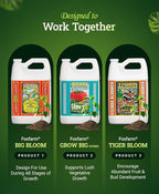 FoxFarm Hydro Liquid Trio Pack - Big Bloom, Grow Big Hydroponic, Tiger Bloom Fertilizers for Plant Growth, Bud Development & Abundant Fruit - Complete Hydroponic Plant Food Set - 3 Gallon Bottles