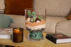 SuperMoss (90424) Desert Terrarium DIY Kit – Build Your Own Mini Desert Garden – Perfect Home Decor and Thoughtful Gifts for Plant Lovers, Appx 4 Oz
