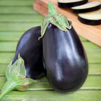Bonnie Plants Black Beauty Eggplant, Live Plant, 1 Gal., 2-Pack