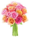 KaBloom - Alice in Wonderland Orange and Pink Roses - Without Vase- Fresh Flowers for Birthday, Valentine's & Mother's Day