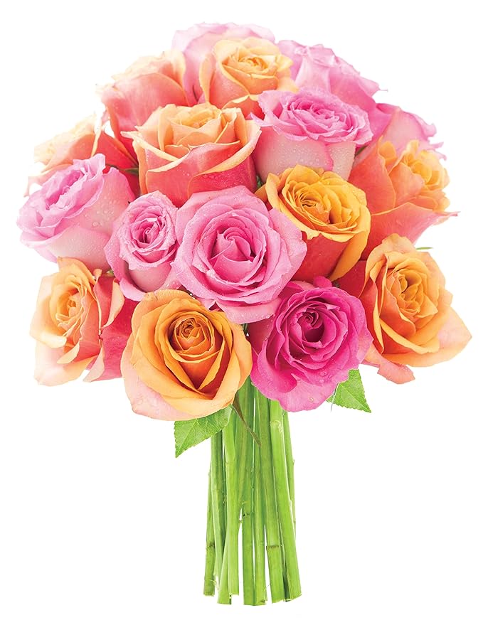 KaBloom - Alice in Wonderland Orange and Pink Roses - Without Vase- Fresh Flowers for Birthday, Valentine's & Mother's Day