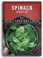 Viroflay Spinach Seeds for Planting – Giant Heirloom Variety with Tender Sweet 10" Leaves – Fast Growing Cold Tolerant Leafy Green – Survival Garden Seeds (1 Pack)