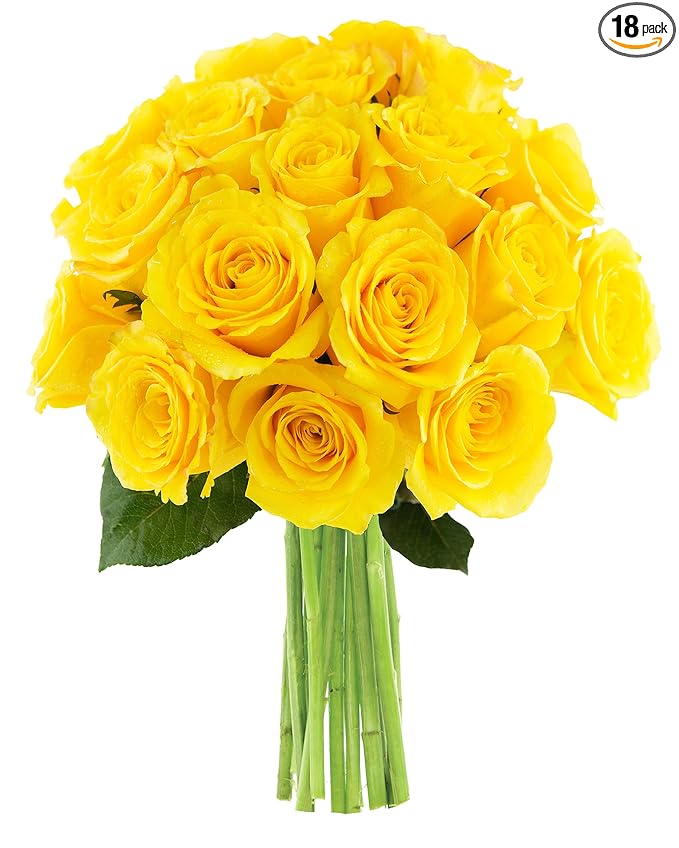 Kabloom - Fields of Gold Yellow Roses (Dozen and a Half) - Without Vase - Fresh Flowers for Birthday, Valentine's & Mother's Day
