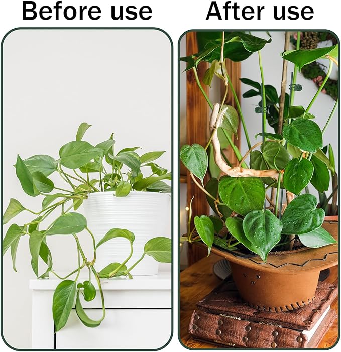 35 Pcs Plant Support Kit: 15pcs Rubber-Coated Garden Stakes (12 Inch) & 20pcs Plant Clips - Adjustable Bendable Stems for Tall Flowers, Indoor & Outdoor Plants, Craft DIY