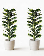 Set of 2 Fiddle Leaf Fig Tree 40'' Fake Tree Plants Artificial Decor with Green Artificial Turf Artificial Indoor Plants Small Fake Plants for Office Bathroom Bedroom Living Room(Variegated)