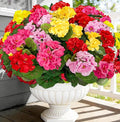 8 Bundles Artificial Geraniums Flowers for Outdoors Summer Decoration, Fake Flowers Silk Color Flowers UV Resistant No Fade Look Real Faux Plants for Porch Gardens Planter Patio Spring Cemetery Decor
