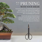 BambooMN 7.2" Black Bonsai Trimming Shear - 3 Pieces