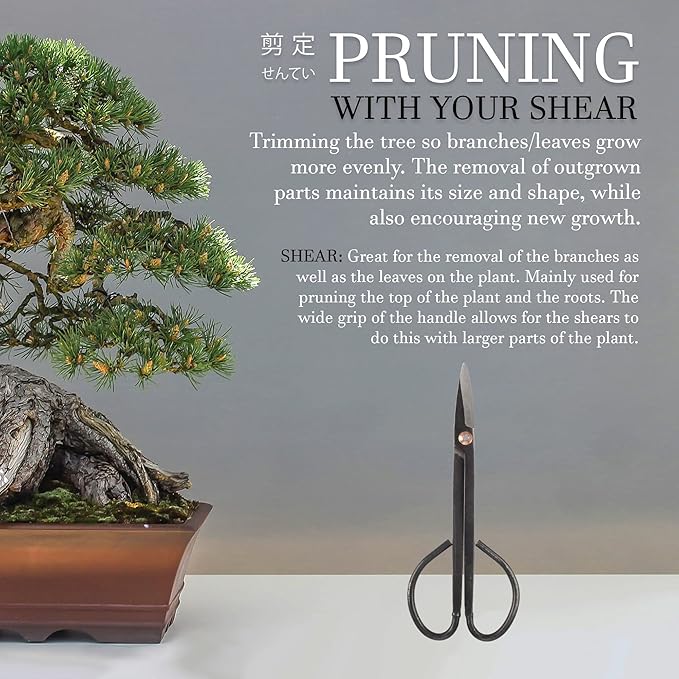 BambooMN 7.2" Black Bonsai Trimming Shear - 30 Pieces