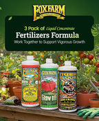 FoxFarm Soil Liquid Trio Pack - Big Bloom, Grow Big, Tiger Bloom Fertilizers Supports Vigorous Plant Growth, Bud Development & Abundant Fruit - Complete Liquid Plant Food Set - 3 Quart Bottles