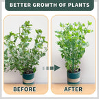 TCBWFY 20 Pack Plant Supports Stakes for Large Heavy Plants, 16"Hx10"D Peony Supports,Heavy Duty 4mm Wire Peony Cages,Interlock Garden Supports Ring Border Support,Plant Support Cage for Rose Flowers