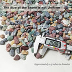 15LB Succulents Rocks for Plants Cactus Gravel Pebbles for Fish Tank 1/2 Inch Natural River Rocks for Vase, Aquarium, Landscaping,Bonsai,Terrarium Pebbles, Mixed Color