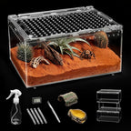 XLarge Reptile Terrarium Kit,Escape Proof Tarantula Enclosure,PC Starter Hermit Crab Tank,Spider Habitat for Praying Mantis Cage,Insect Housing,Lizard,Gecko Container,Bearded Dragon Vivarium
