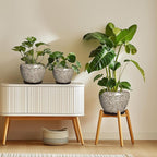 Ceramic Plant Pots - 8 Inch Planters for Indoor Outdoor Plants, Decorative Pots for Plants with Drainage Hole and Saucer, Modern Flower Pot, Room Decor, Plant Lover Gifts, White Leopard