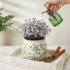 DREAMLOOM Vintage Ceramic Planter for Indoor Plants,6.1" Ice Crack Cottage Scroll Vase Tuscan Decor Flower Pots with Drainage Holes Home Kitchen Farmhouse Antique Decorative Gift (Green-Round)
