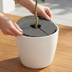PAGOW 2pcs Plant Protectors from Animals, Breathable Cuttable Plant Pot Soil Cover, Round Flexible Squirrel Guards for Potted Plants Gardening Digging Stopper - Black