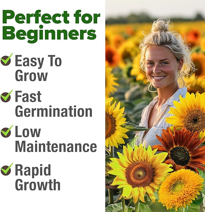 HOME GROWN Sunflower Seeds Mix Pack 1,500+ 9 Colorful Varieties of Sun Flower Seeds to Plant - 2-10ft Tall Plants, Pollinator Friendly, Easy to Grow, High Germination