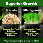 HOME GROWN Hard Red Winter Wheatgrass Seeds 12,000+ Bulk 1.5 lb Heirloom Non-GMO, Sprouting for Juicing, Healthy Smoothies, Pet Cat Grass, Microgreens, Indoor Garden (Triticum aestivum)
