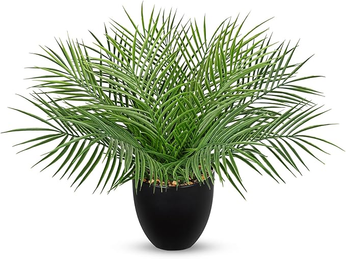Briful Artificial Palm Plant in Black Pot, 18” Faux Tropical Tabletop Plant with 14 Realistic Leaves, Small Potted Palm Tree for Farmhouse, Coffee Table, Entryway, Bathroom, Shelf & Living Room Decor