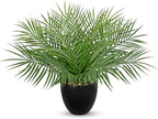 Briful Artificial Palm Plant in Black Pot, 18” Faux Tropical Tabletop Plant with 14 Realistic Leaves, Small Potted Palm Tree for Farmhouse, Coffee Table, Entryway, Bathroom, Shelf & Living Room Decor