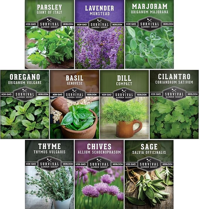 Herb Seeds Variety Pack | 10 Culinary Herbs for Planting – Basil, Cilantro, Lavender, Dill, Parsley, Oregano, Thyme, Sage, Chives, Marjoram – Indoor Kitchen Herb Kit – Survival Garden Seeds
