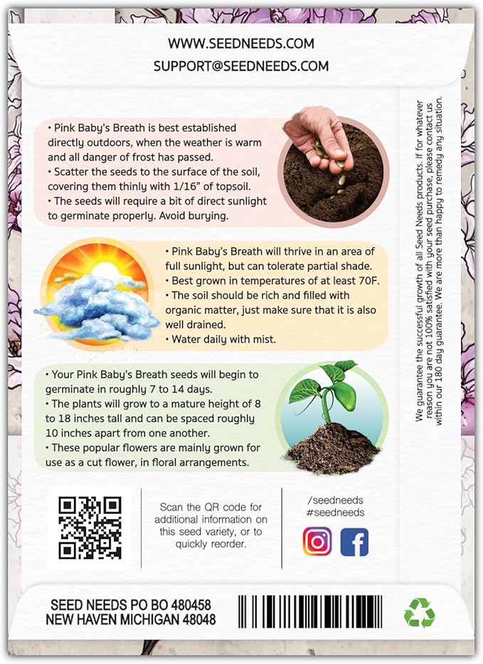 Seed Needs Pink Baby's Breath Seeds for Planting Rosy Pink Blooms - Heirloom & Open Pollinated Wildflowers to Attract Pollinators to a Butterfly Garden - Great for Cut Flowers (2 Packs)