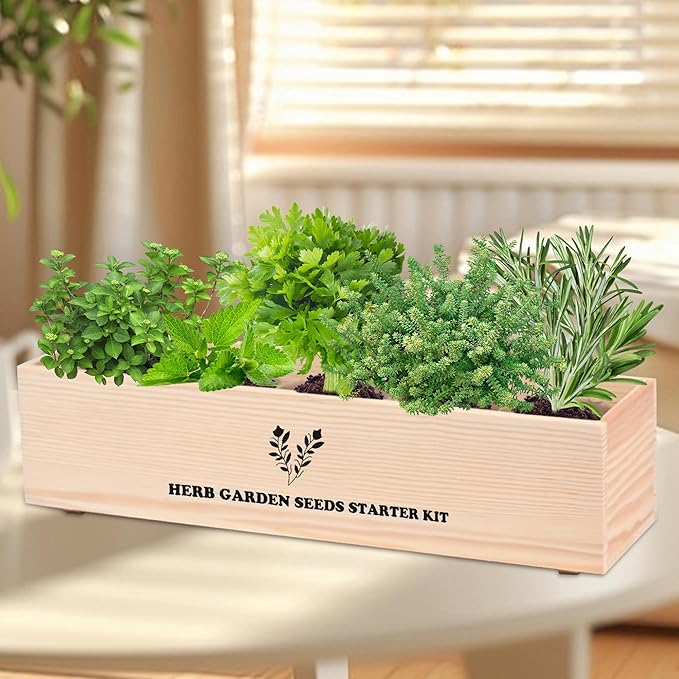Indoor Herb Garden Starter Kit, Including A Complete Gardening Tools for Women Parents Gift