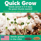 Creativity for Kids Grow 'N Glow Terrarium Kit - Educational Science Kits| Easter Basket Stuffers for Kids Gifts for Boys and Girls| Craft and STEM Projects (Ages 6+)