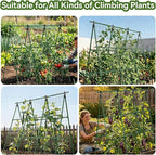 2 Pack Cucumber Trellis, 49.6"×49.6" Garden Trellis for Climbing Plants Outdoor, A-Frame Vegetable Trellis for Raised Bed, Support for Tomatoes, Squash, Zucchini, Vegetables