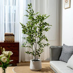Bailikang Artificial Ficus Tree Indoor 5ft, Large Potted Faux Tree with Realistic Silk Leaves & Trunk for Home Office, Living Room Corner Decor