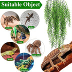 Suncalla Reptile Plants Terrarium Hanging Plants Vines Boston Climbing Terrarium Plant with Suction Cup for Bearded Dragons Lizards Crested Gecko Snake Crab Tank(Petite Leaf Series,Multiple Green)