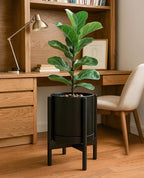 D'vine Dev Ceramic Planter with Ebony Stand - 10 Inch Modern Round Flower Pot with Wood Planter Holder, Black, 55-B-L-2