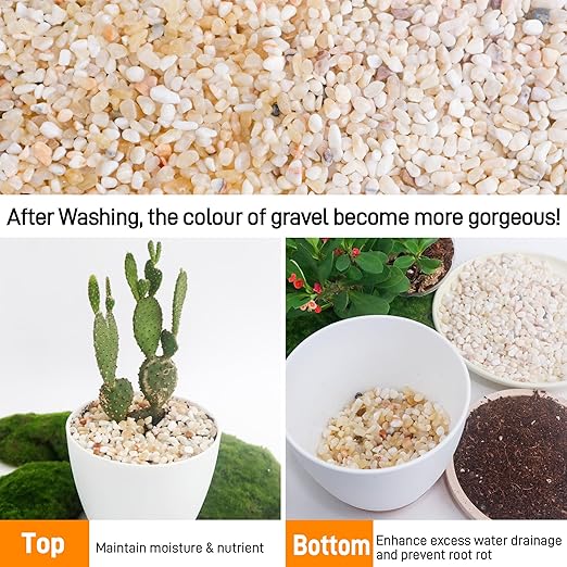 CJGQ 7lb Aquarium Gravel for Plants,1/5 Inch Natural Decorative River Rocks for Succulent and Cactus Landscaping, Natural Small Rocks for Fish Tanks, Vases & Terrariums
