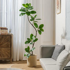 Bailikang 6ft Artificial Rubber Tree Faux Plants Indoor Faux Floor Artificial Trees Indoor,Fake Plant Fake Tropical Plants,Large Floor,Real Touch Rubber Tree for Home Decor