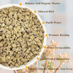 2 lbs Maifanitum Stones for Succulent,1/4 Inch Decorative Rocks for Indoor Plants, Bonsai, Soil Cover. Small Stone of Lightweight for Promote Soil Root Growth, Water Drainage and Plant Growth