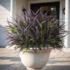 16 Pcs Artificial Plants Outdoor Fake Grass Faux Greenery Stems UV Resistant Plastic Plants Shrubs for Planters Patio Garden Front Porch Pathway Spring Summer Home Decor, Purple
